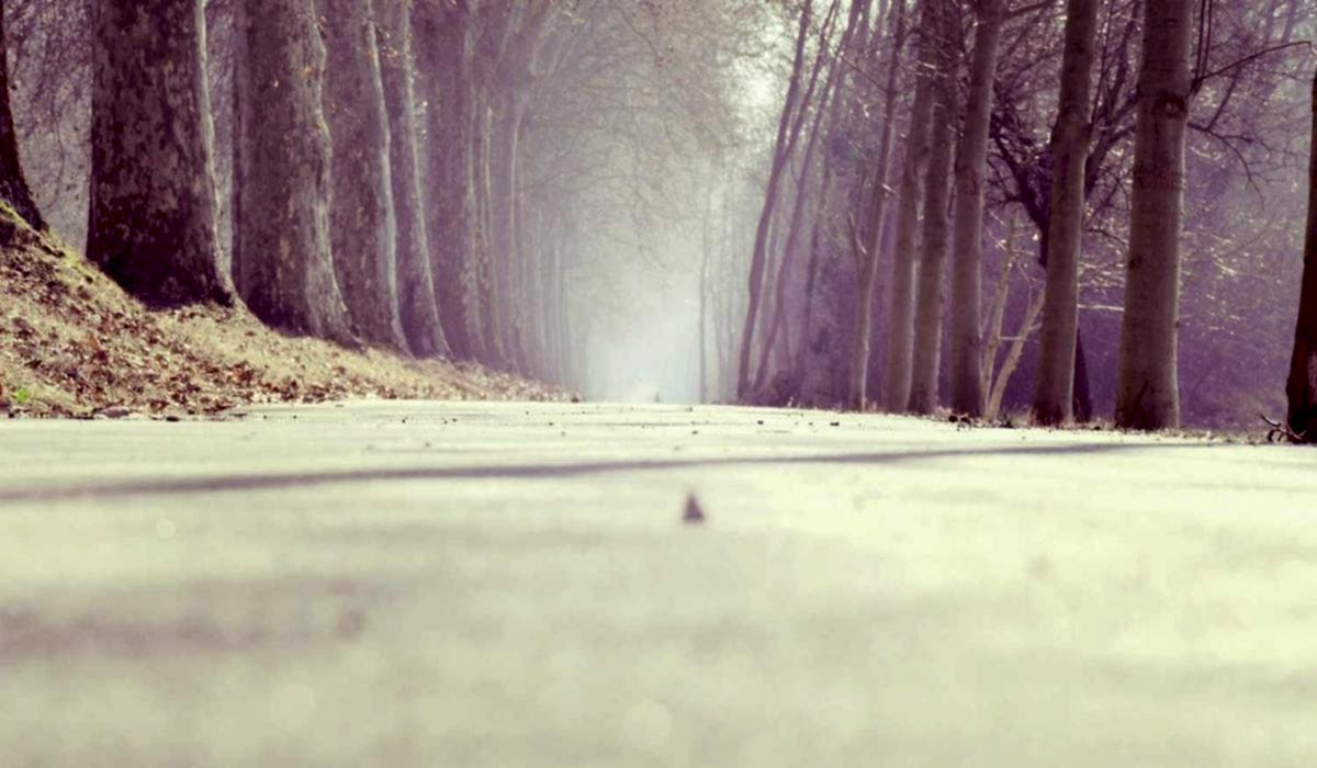 Adana klozet altı kaçak tamiri